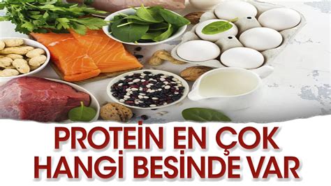 en fazla protein içeren yiyecekler